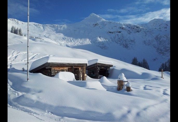 Bild 14
