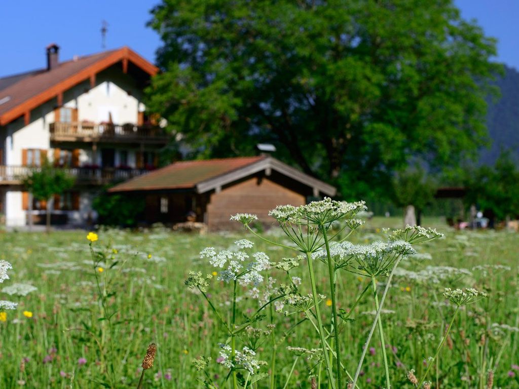 Ramslerhof mit Blumenwiese
