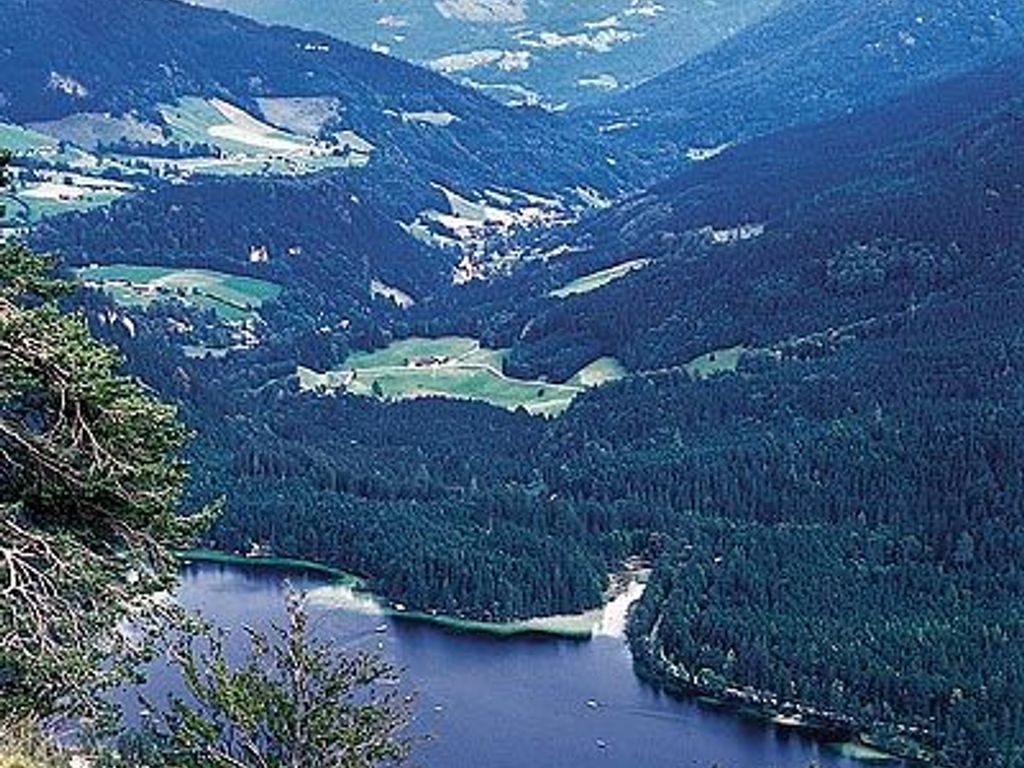 Gasthof Alpenhof