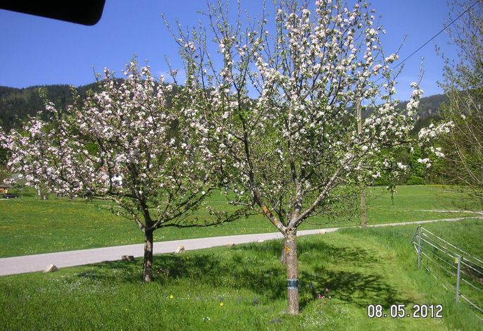 Bild 7