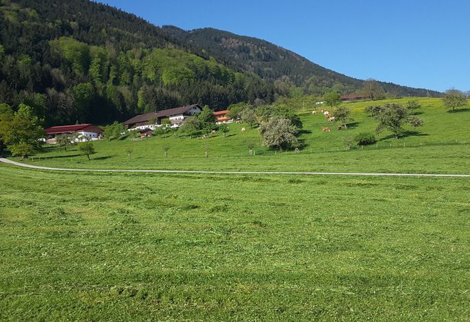 Bild 7