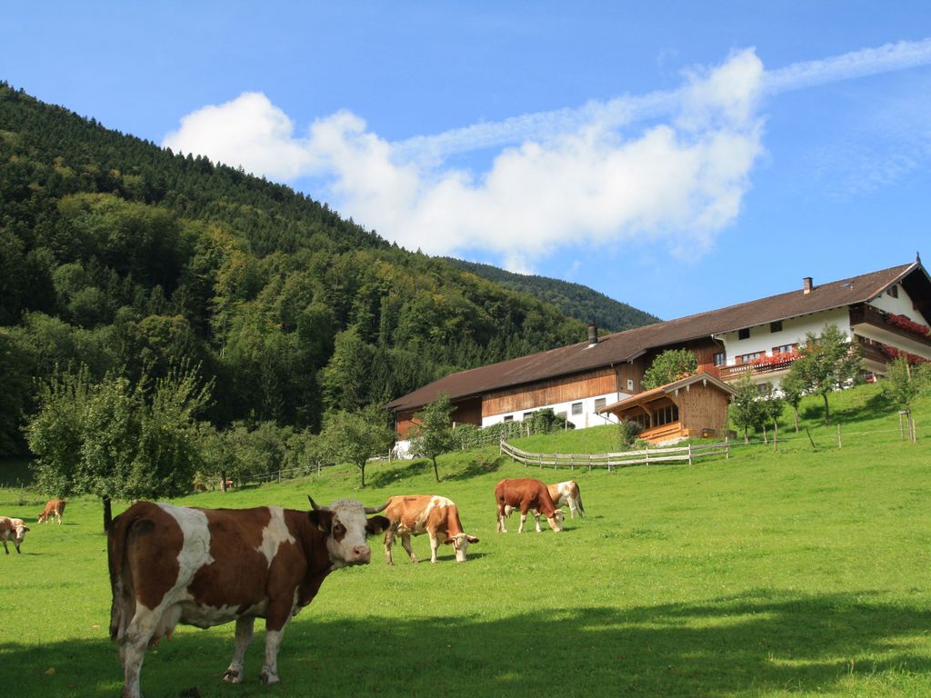 Unterulpointhof im Sommer