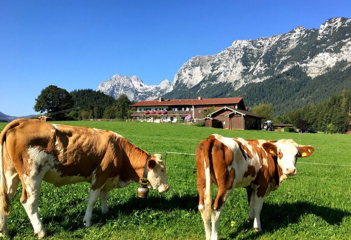 Vorderponholz Ferienwohnungen
