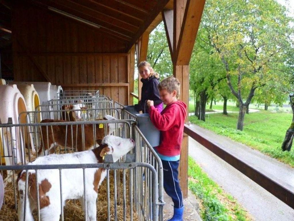 Kälberstall