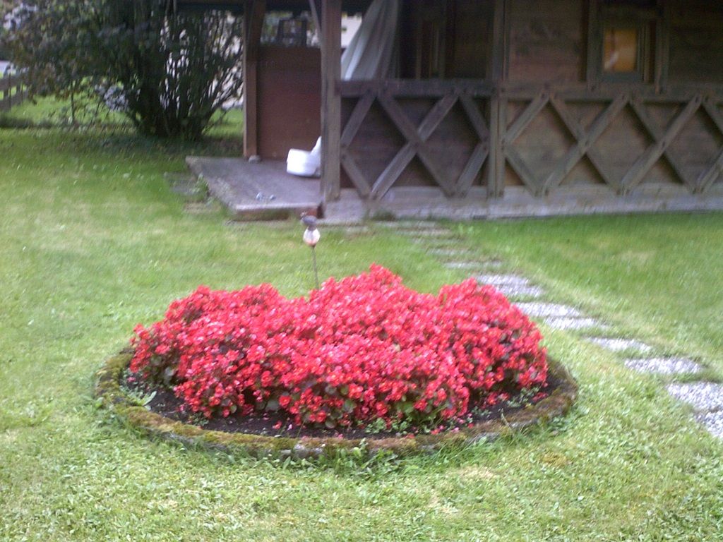 Weitläufiger Garten