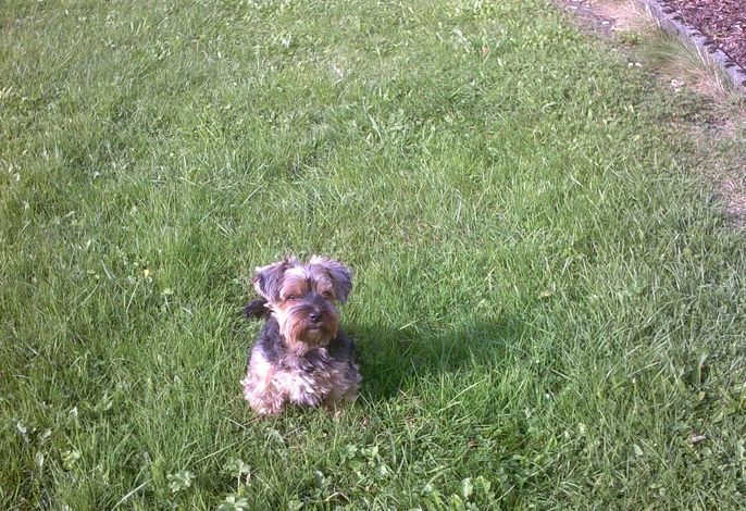 Bild 9