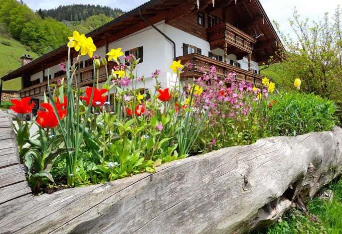 Hauptbild