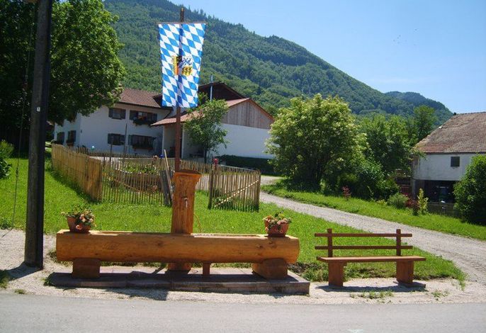 Bild 11