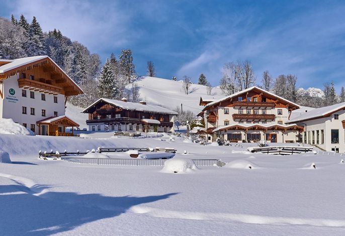 Bild 19