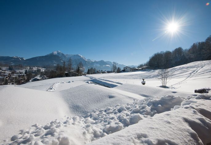 Bild 18
