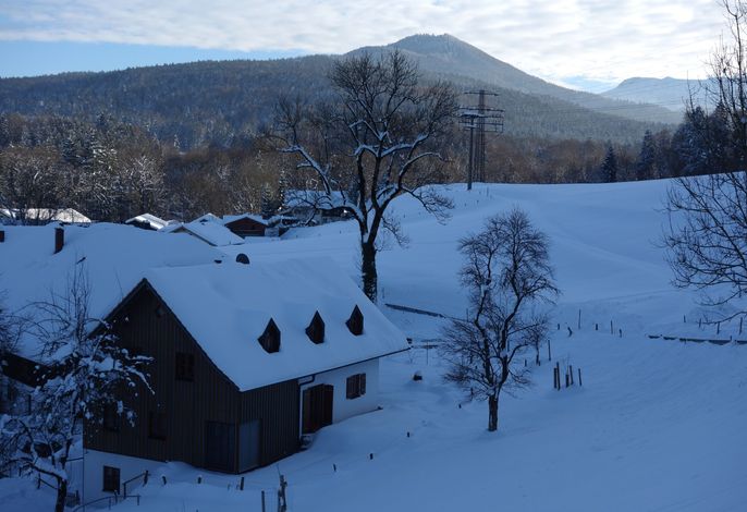 Bild 16