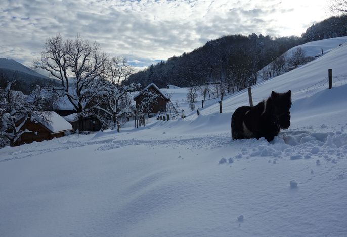 Bild 18