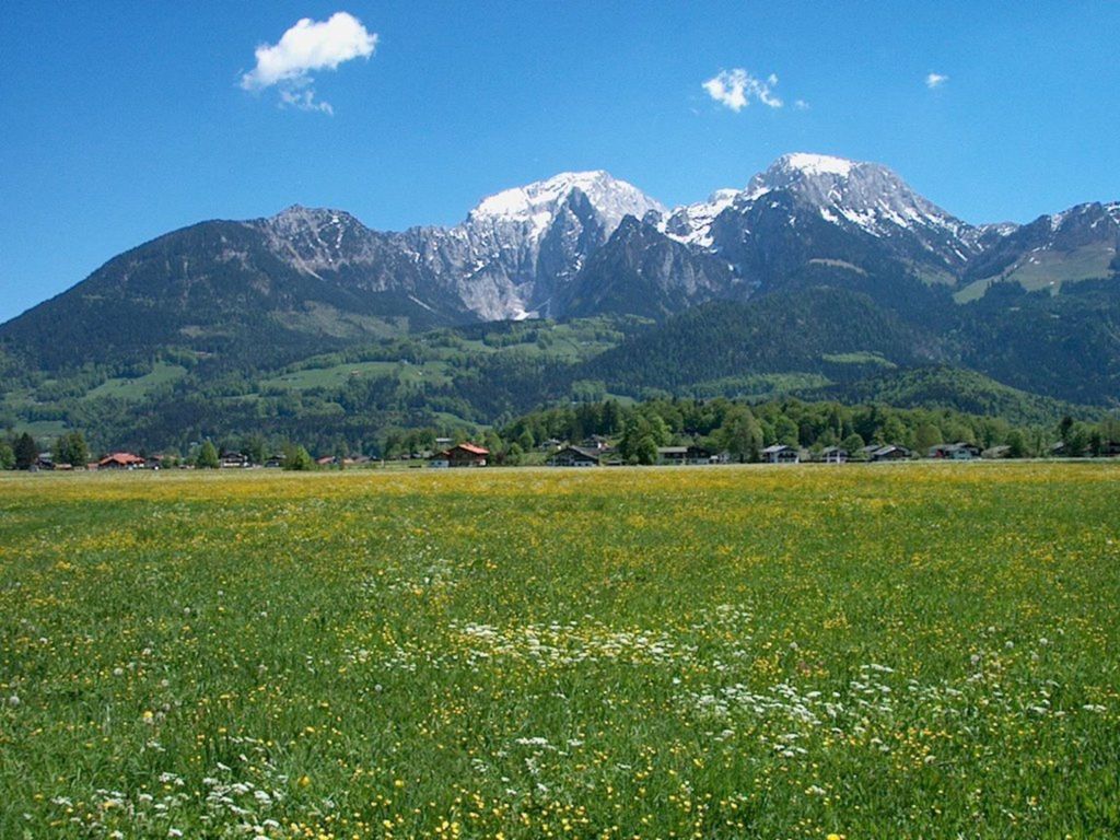 Ausblick