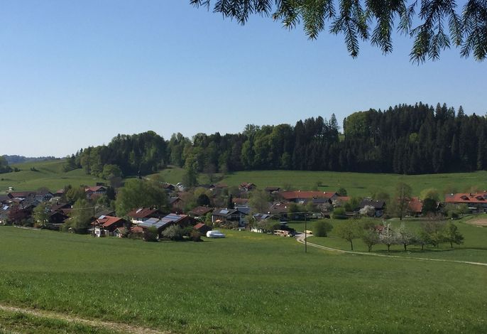 Bild 12