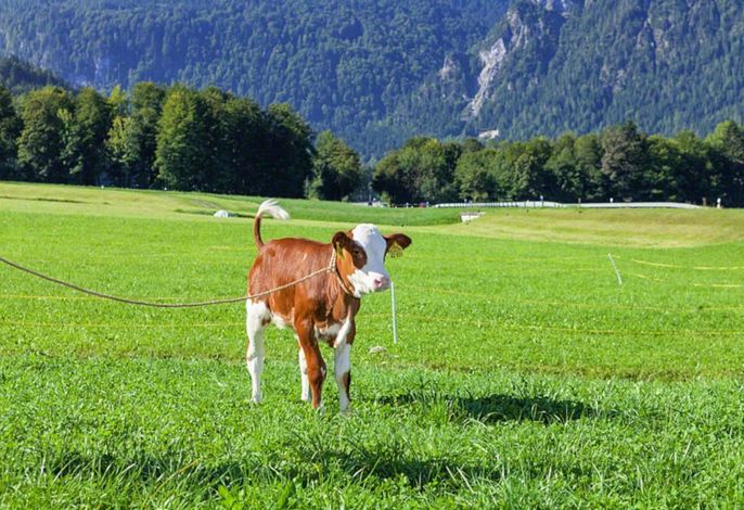 Bild 7