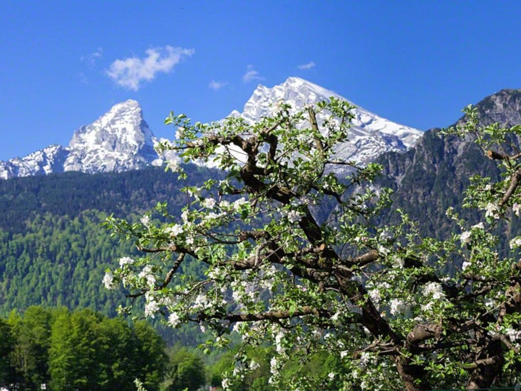 Landschaftsbild