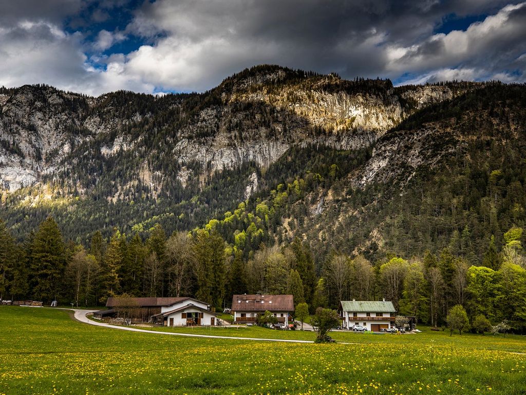 Ferienhaus Wiesenhäusl