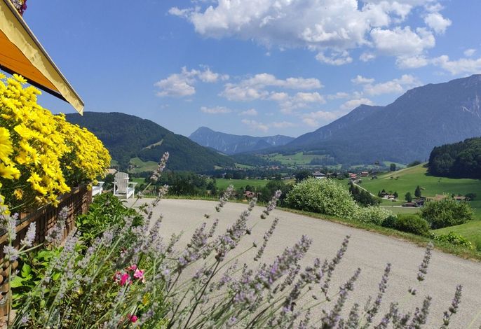 Bild 15