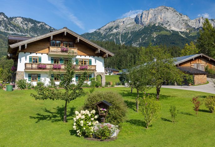 Bild 7