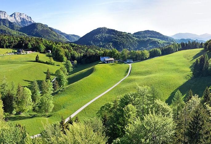 Hauptbild