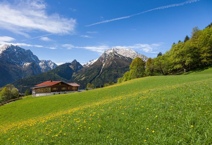 Bild 10