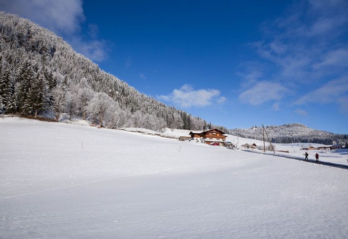 Bild 15