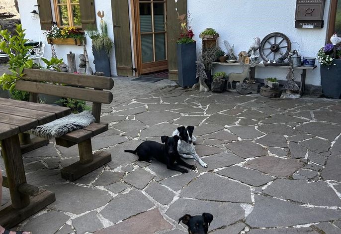 Bild 4