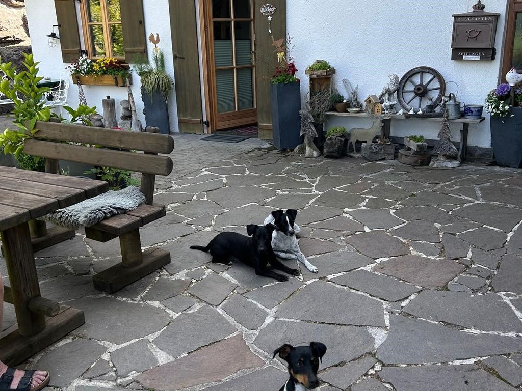 Haus mit Hunde