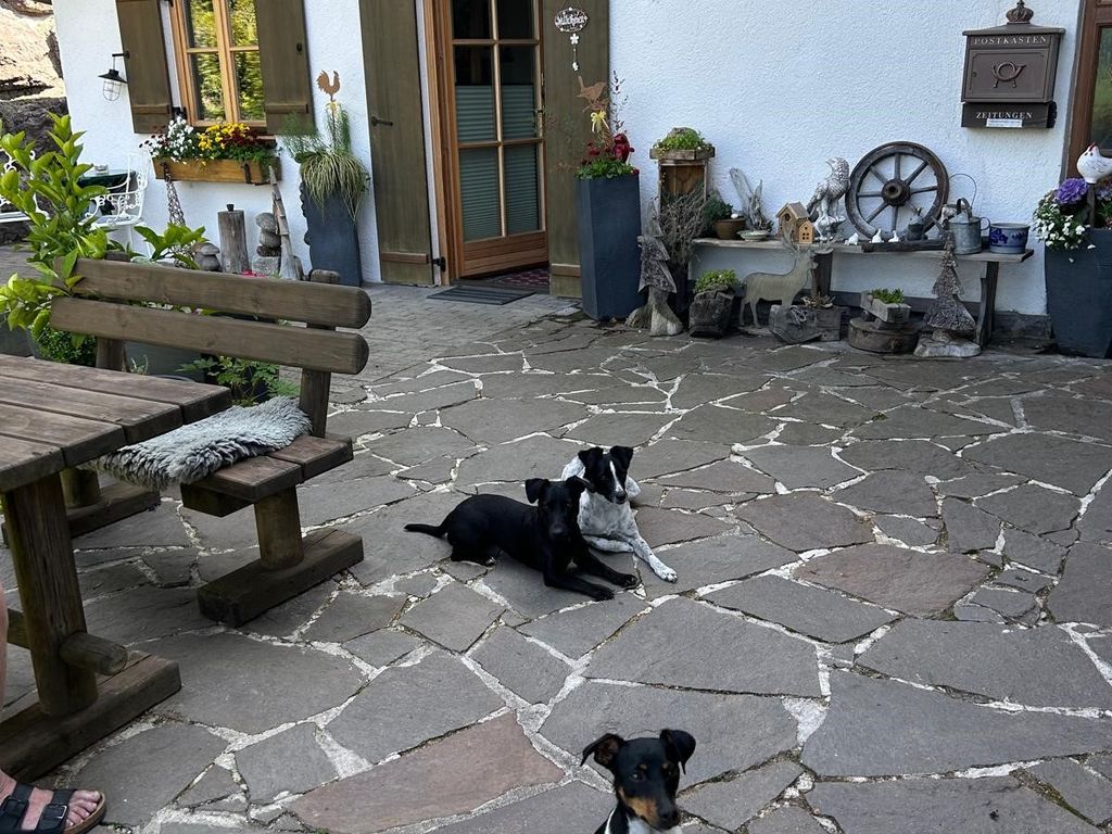 Haus mit Hunde
