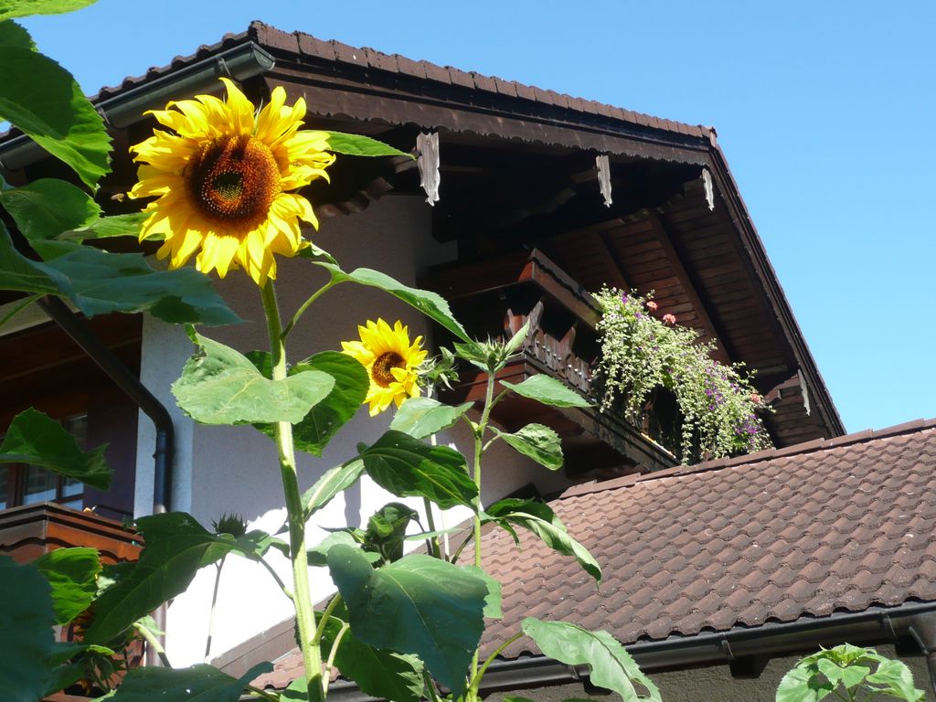 Sommer