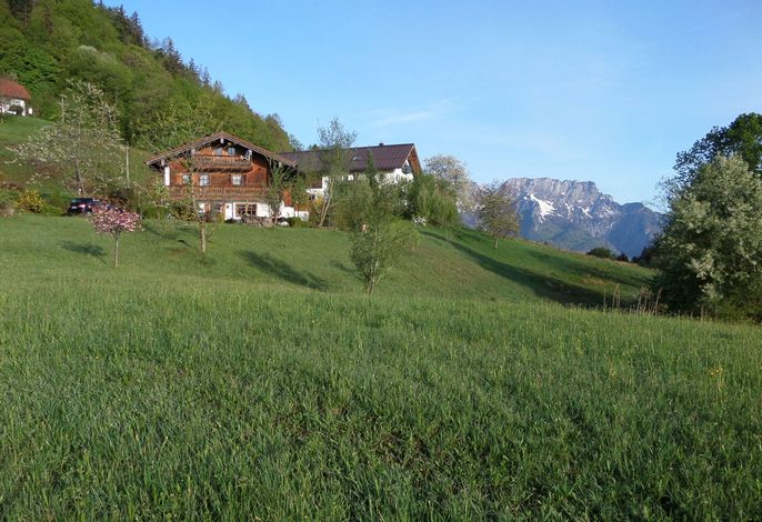 Hauptbild