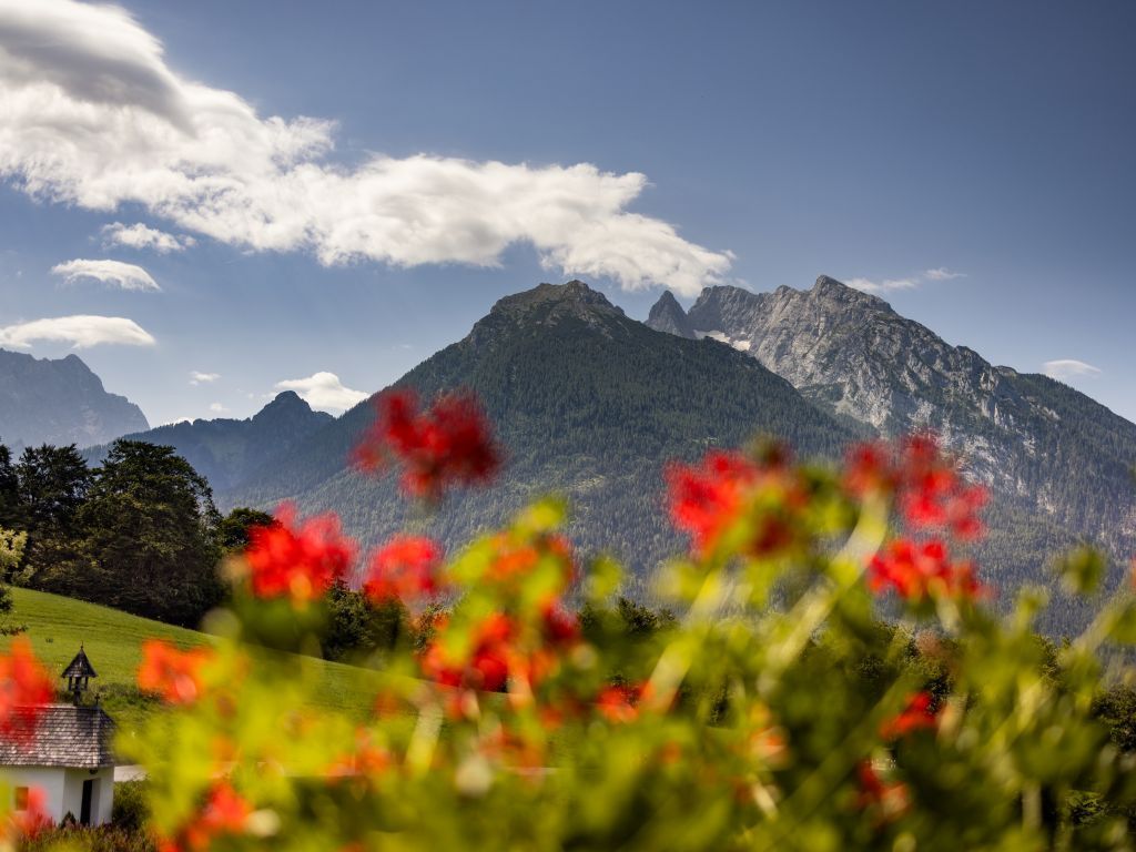 Ausblick