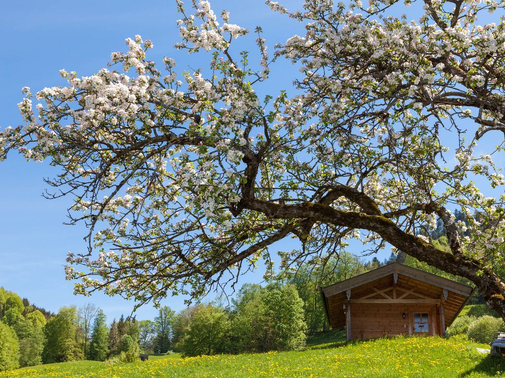 Frühling am Stablehen