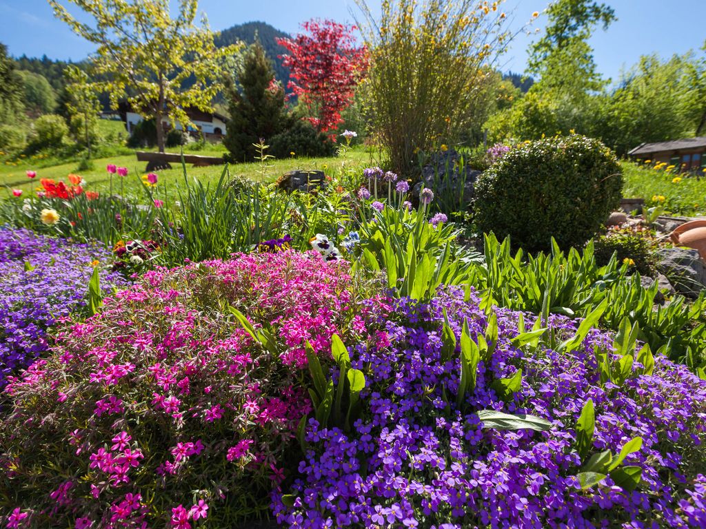 Garten im Frühling