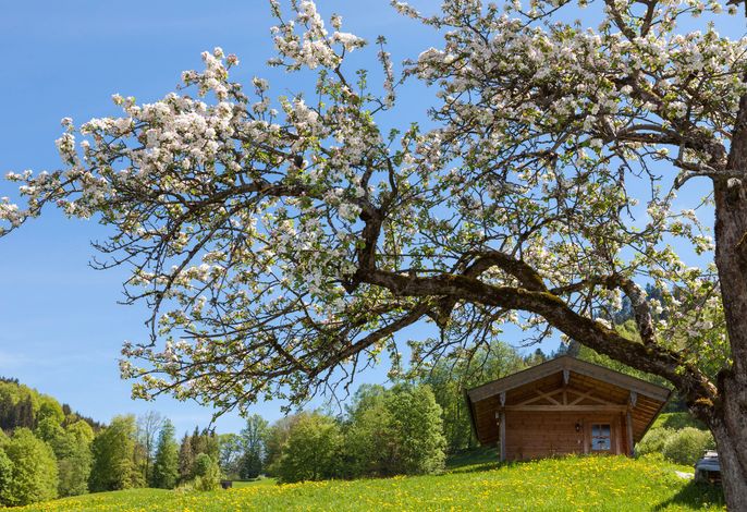 Ferienwohnungen Stablehen – Foto 5
