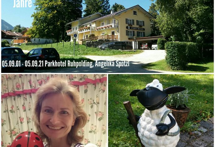 Bild 15