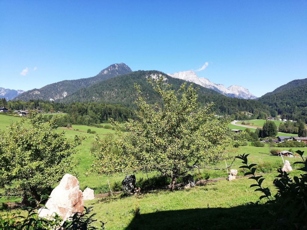 Blick in die Natur