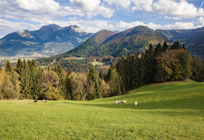Bild 9