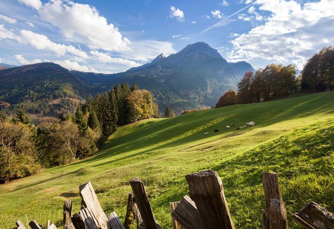 Bild 10