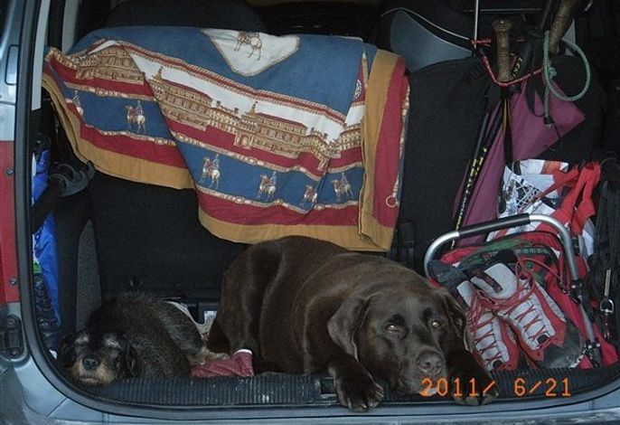 Bild 8
