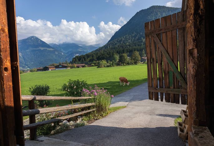 Bild 10