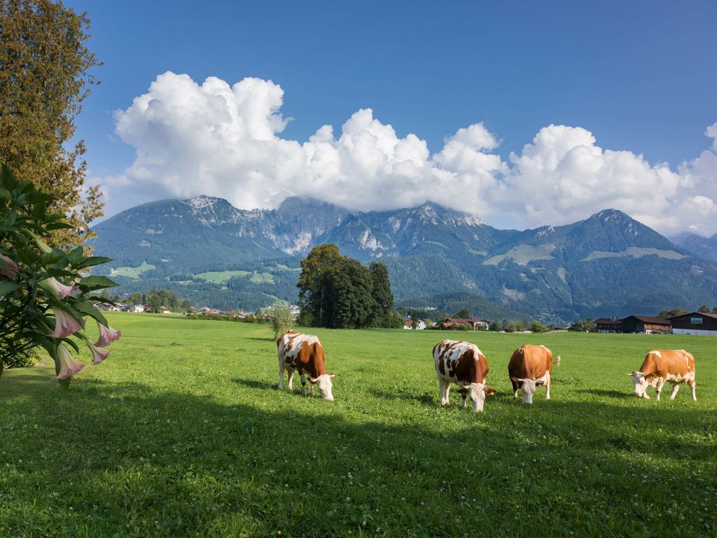 Natur pur
