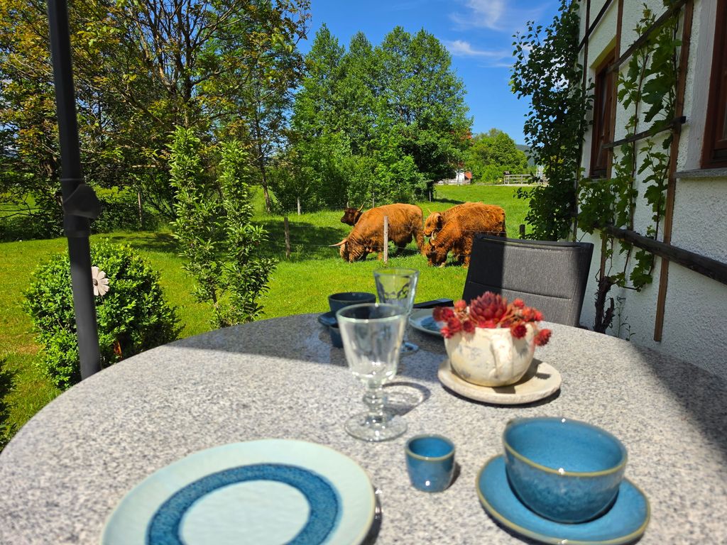 Exklusiver Blick von der Terrasse zu unseren Hochlandrindern