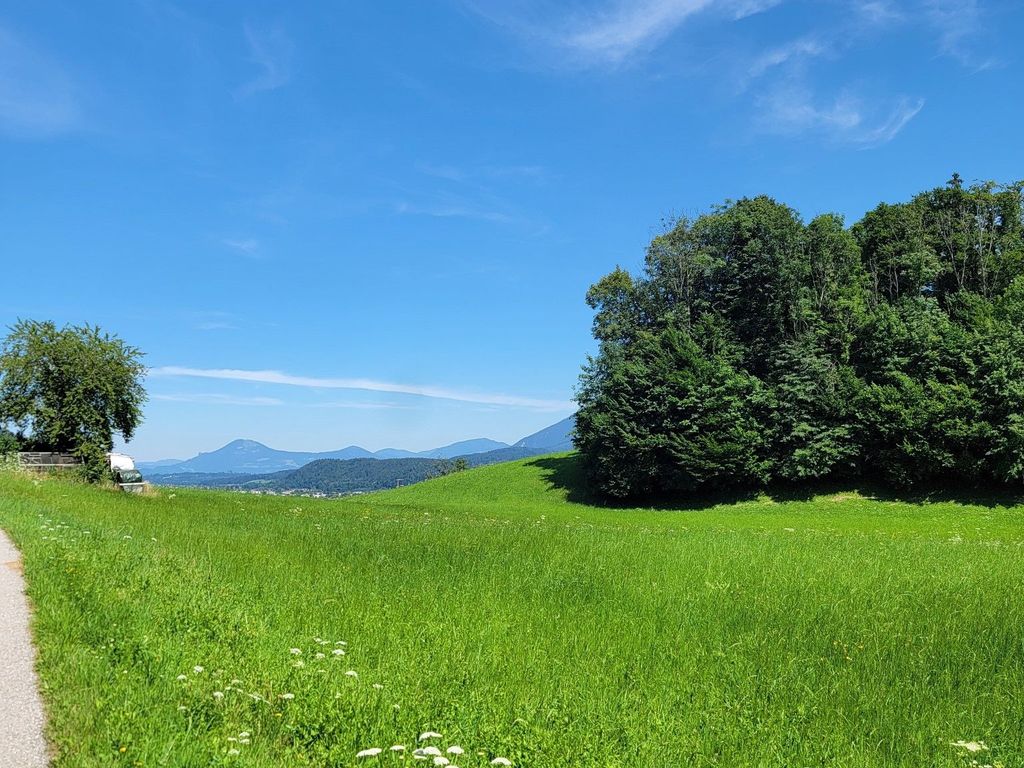 Aussicht