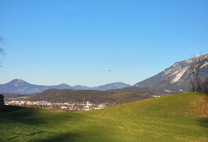 Bild 13