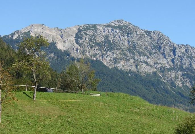 Landhaus Mesnerbauer