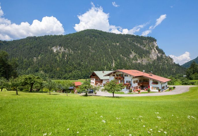 Pfnürlehen Ferienwohnung Wiesenblick