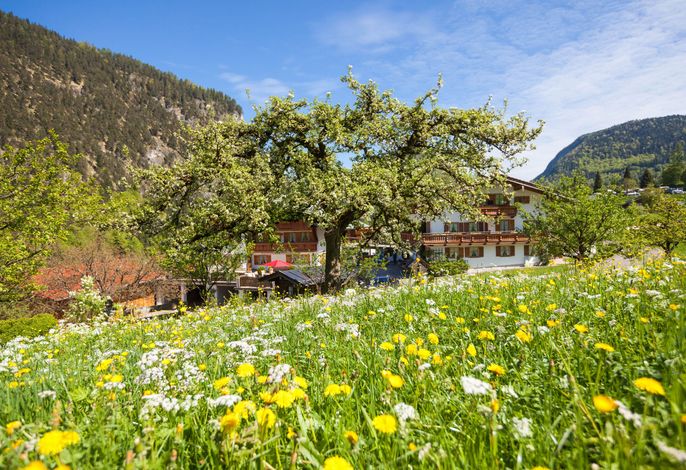 Bild 14