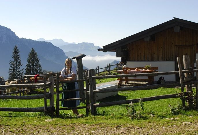 Bild 14