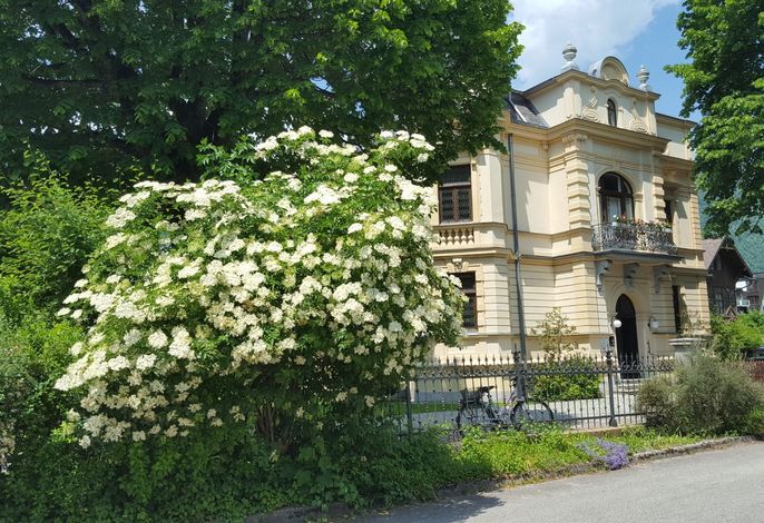 Bild 5